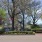 spacious walking area near trees and property